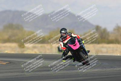 media/Feb-04-2023-SoCal Trackdays (Sat) [[8a776bf2c3]]/Turn 14 (115pm)/